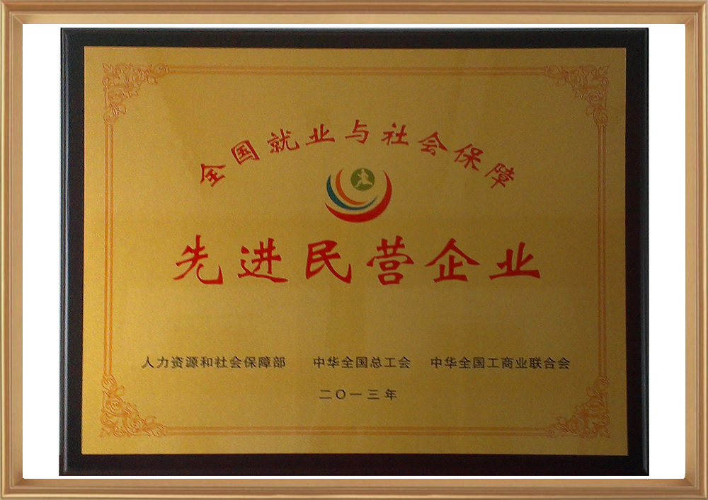 全國就業(yè)與社會保障先進民營企業(yè)（銅牌）_d.jpg