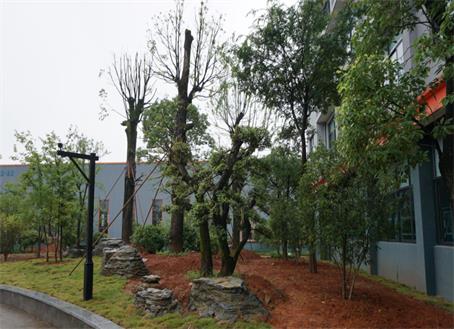 1562317222795872.jpg 圖片2.jpg