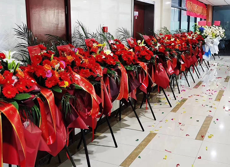 1604306580.png 1604306035(1).png