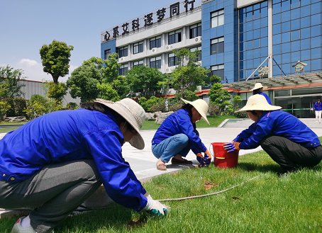 1619676463.png 1619671627(1).png